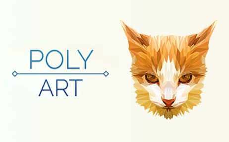 Poly Art