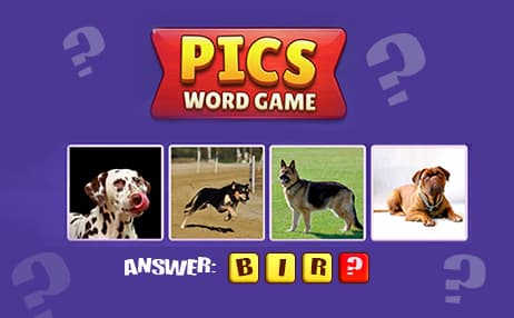 Pics Word Game